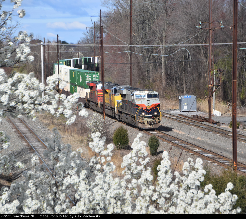 NS 8101